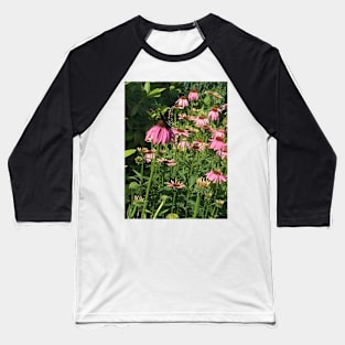 Butterfly on  Echinacea Baseball T-Shirt